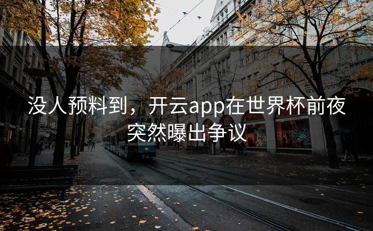 没人预料到，开云app在世界杯前夜突然曝出争议