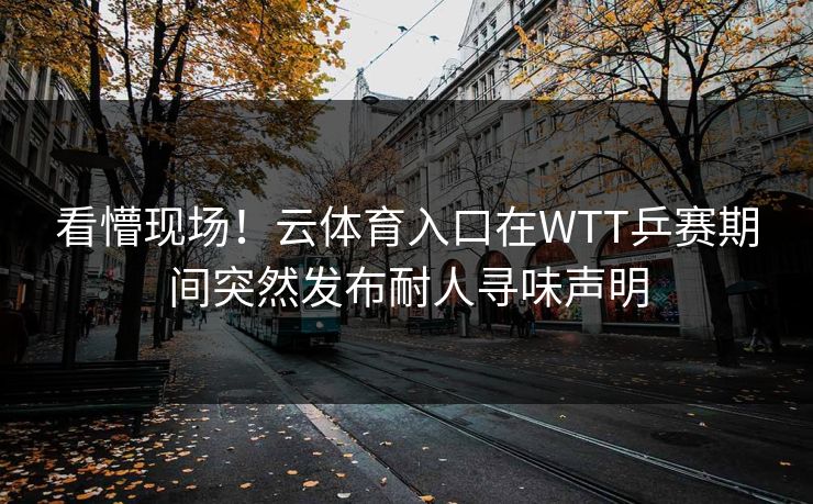 看懵现场！云体育入口在WTT乒赛期间突然发布耐人寻味声明