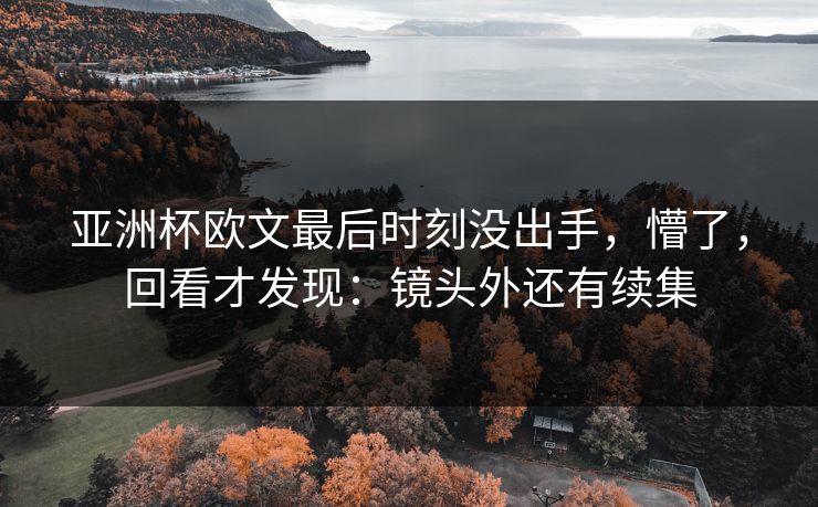亚洲杯欧文最后时刻没出手，懵了，回看才发现：镜头外还有续集